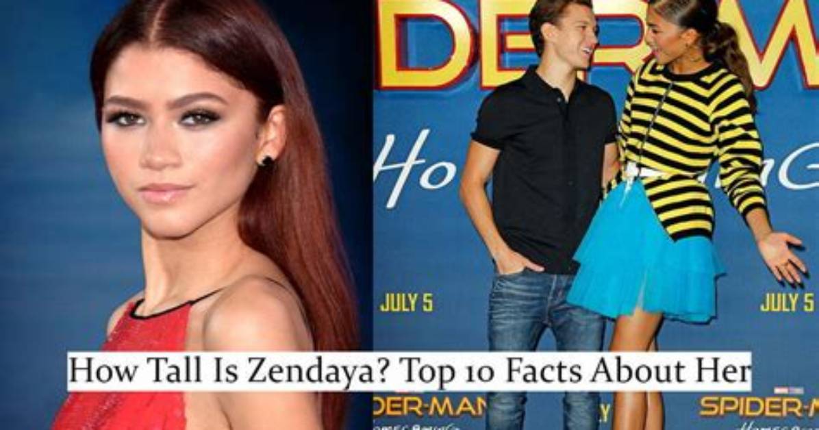 Zendaya S Height in Photos Side by Side Red Carpet Comparisons That Settle The
